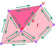 faces_topology_r.gif