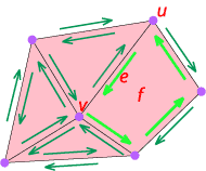 faces_topology_ef.gif